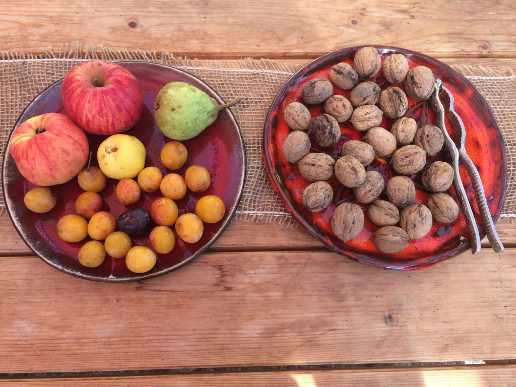 Äpfel, Ringlotten, Nüsse