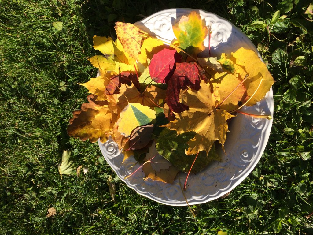 Teller mit bunten Herbstblättern